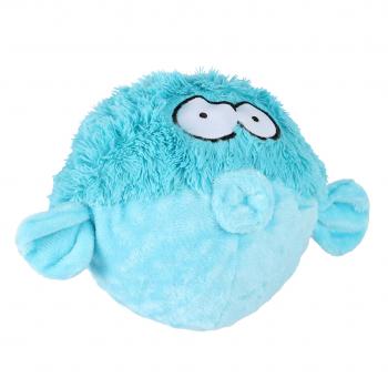 Coockoo Gary